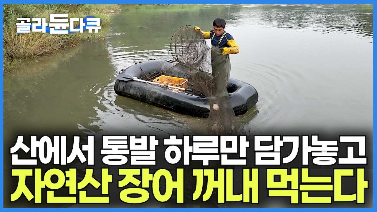 통발 하루만 담가놔도 비싼 자연산 민물 장어에 쏘가리까지 쏟아진다｜해병대 출신 평범한 직장인이 강에서 민물고기 잡는 이유｜아들은 청년 어부 엄마는 매운탕 식당｜고향민국｜#골라듄다큐