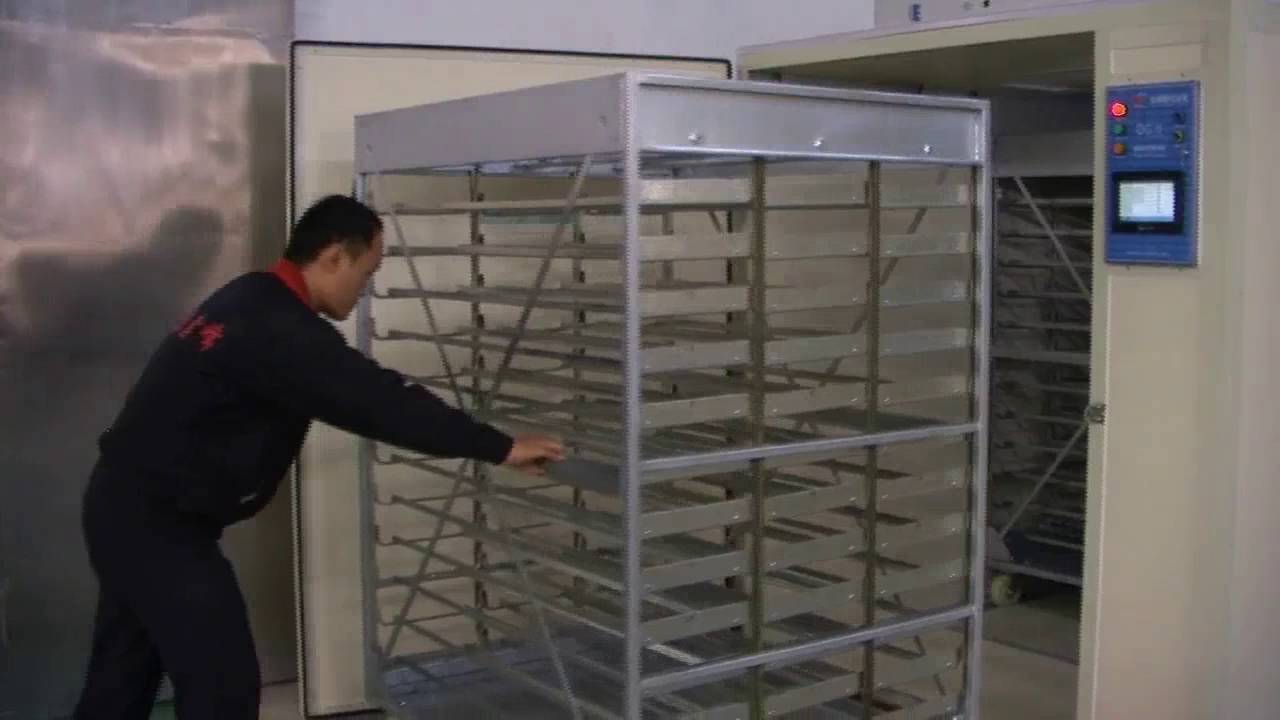 12000 egg incubator for poultry business starter