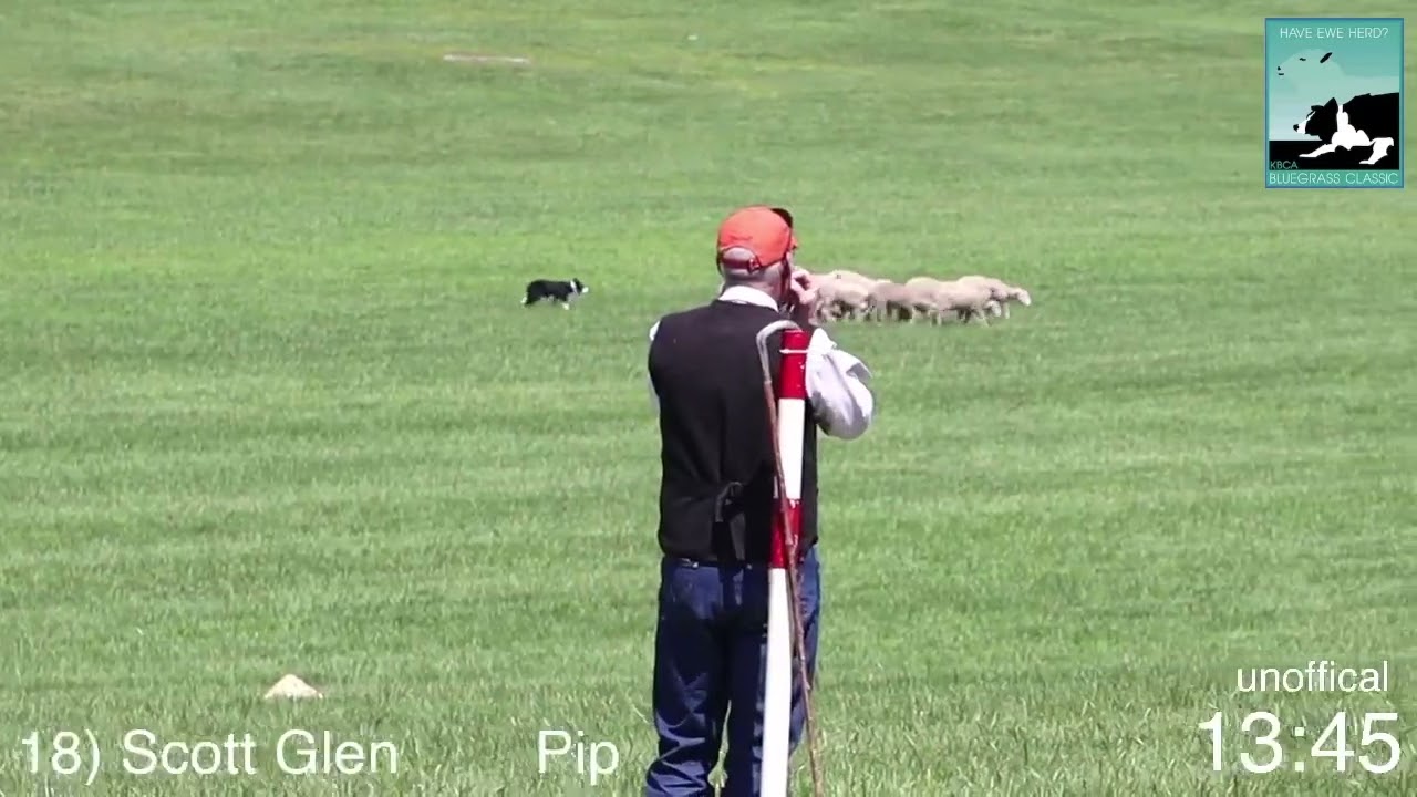 18 Scott Glen   Pip  2023 Kentucky Bluegrass Double Lift