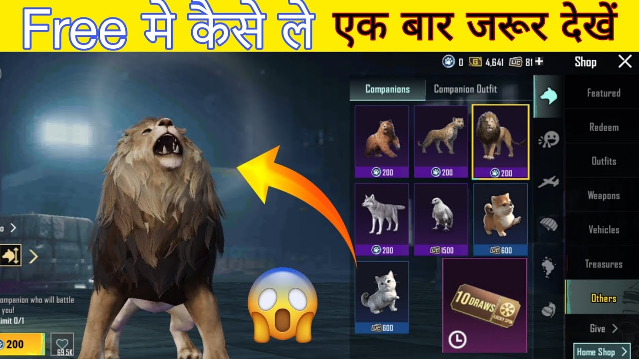Bgmi Me Lion Ko Kaise Le Bgmi Companion Ko Kaise Le Easy Bgmi New Update