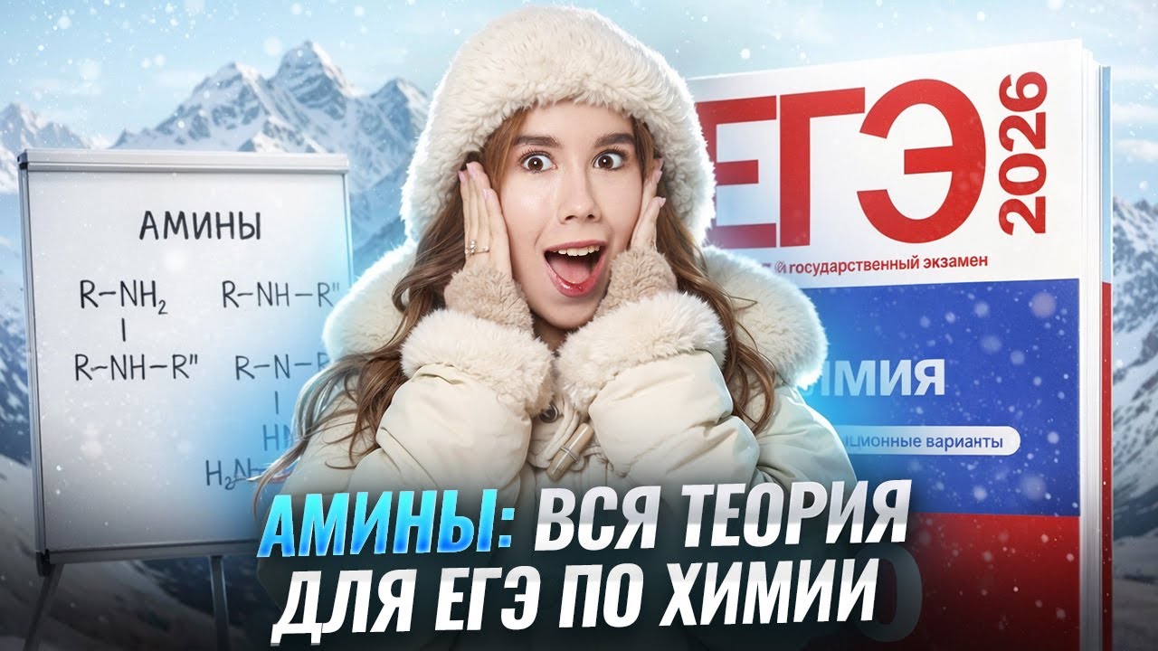 Амины на ЕГЭ по химии, вся теория | Органика с нуля | Умскул