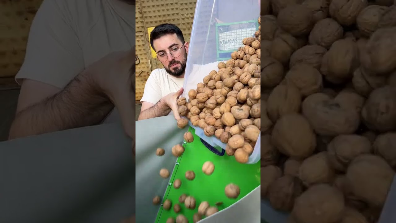 Kadıoğlu CKK300 Vurmatik Sistem 3 Yollu Ceviz Kırma Makinesi