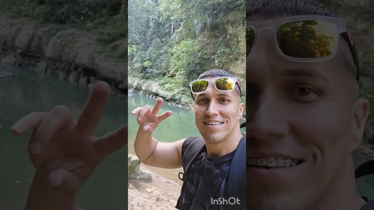 La planta Arecibo 🙏