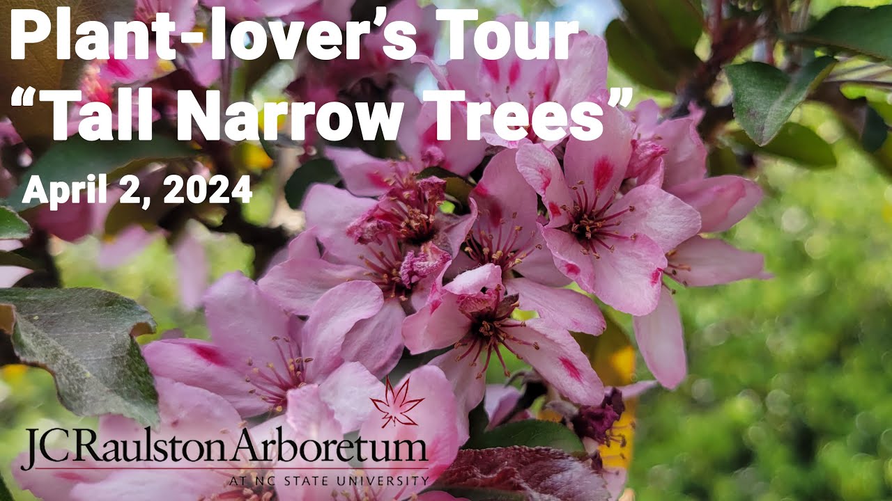Plant-lover's Tour - 