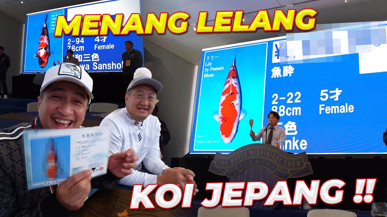 #4 JEPANG | DATENG KE LELANG BAWA PULANG KOI JEPANG !!