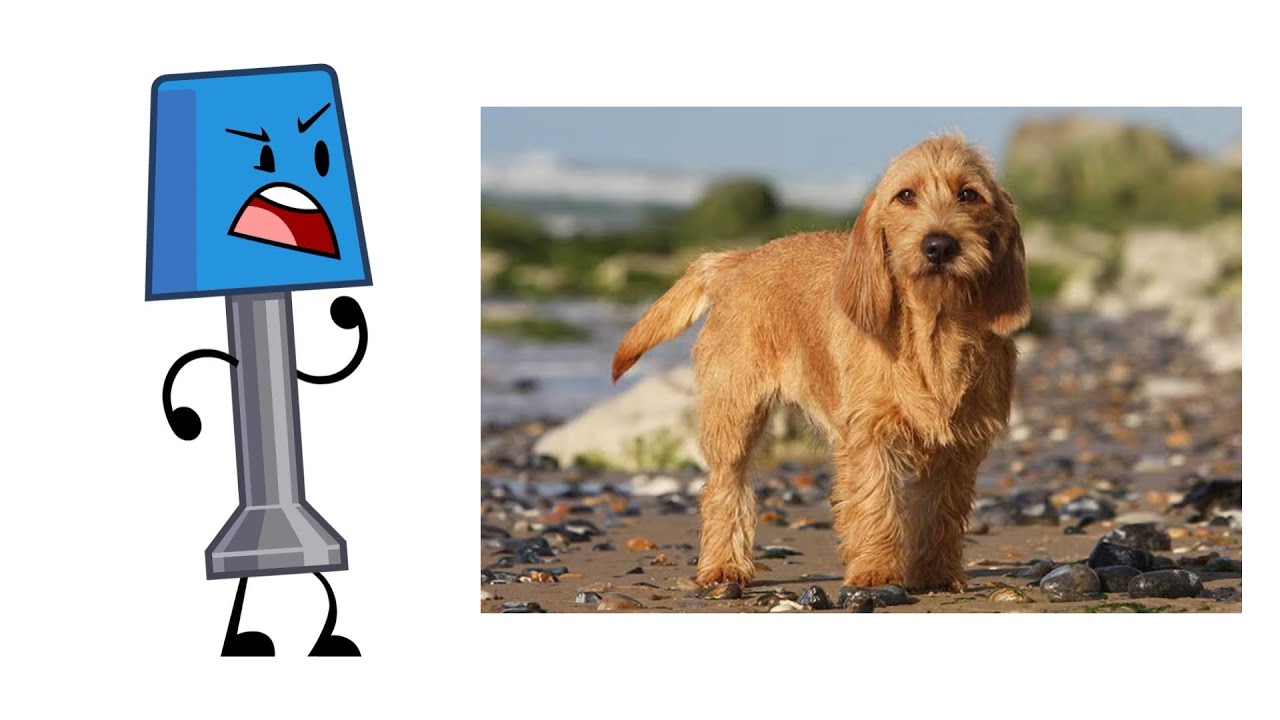 Object Invasion Characters and their Favorite Dog Breeds