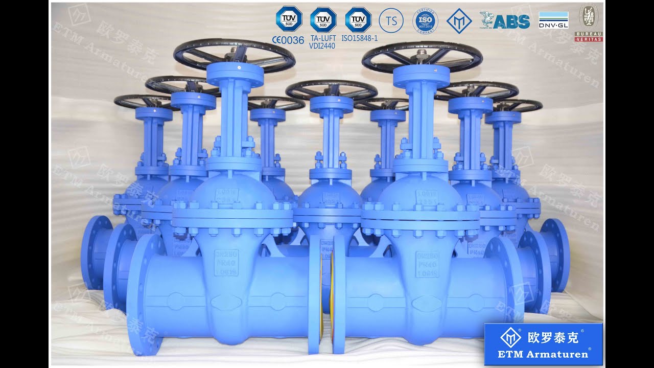 ETM Armaturen DIN & EN Low Torque Design Gate Valve