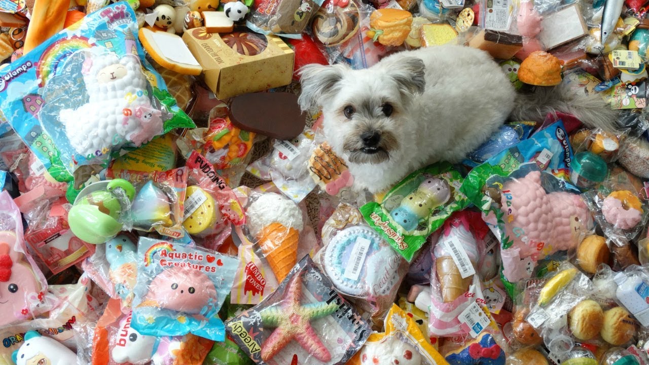 BIGGEST SQUISHY COLLECTION!!!! Updated 2017 Squishy Collection!
