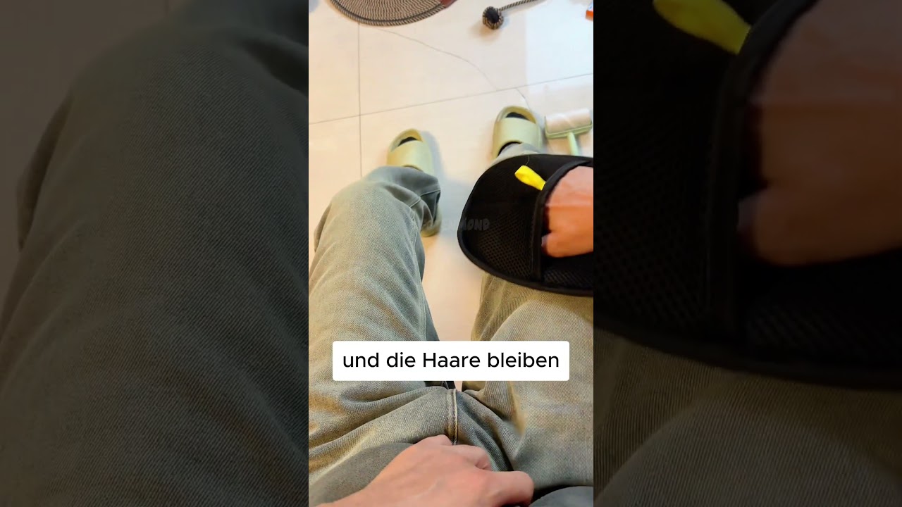 Dieser Handschuh zieht lose Katzenhaare an wie ein Magnet 🧲🐱