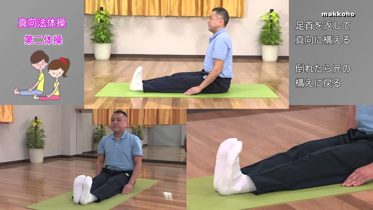 公式　真向法体操