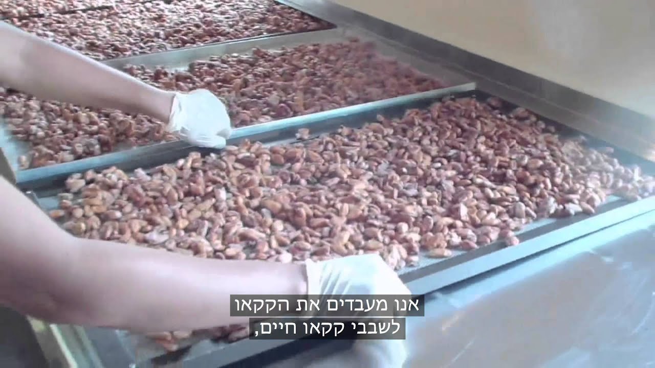 הקקאו שלנו - מהיכן הוא מגיע ? | Our Raw Cacao