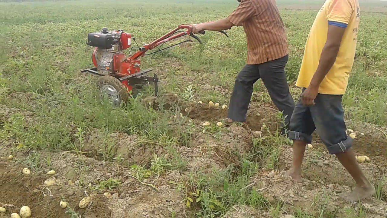 Aspee Potato Digger  : Demo by Sasmal Agro Agency, Champadanga, Hooghly, West Bengal