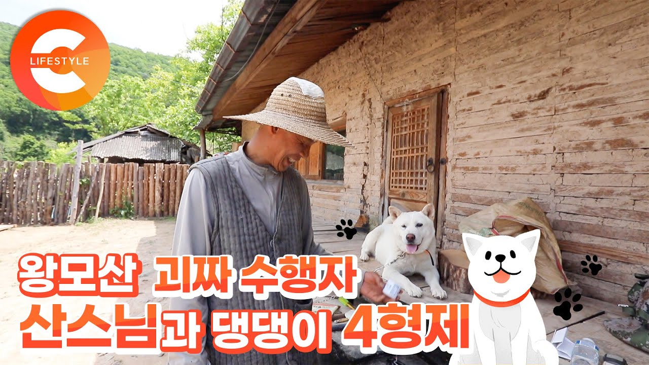 유튜브에 빠진 스님, 왕모산 괴짜 수행자와 댕댕이 4형제의 유별난 수행