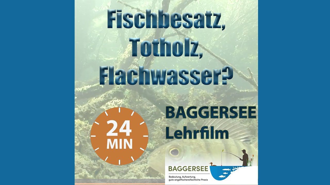 Lehrfilm: Fischbesatz, Totholz, Flachwasser. Wie können Angelvereine Baggerseen verbessern?