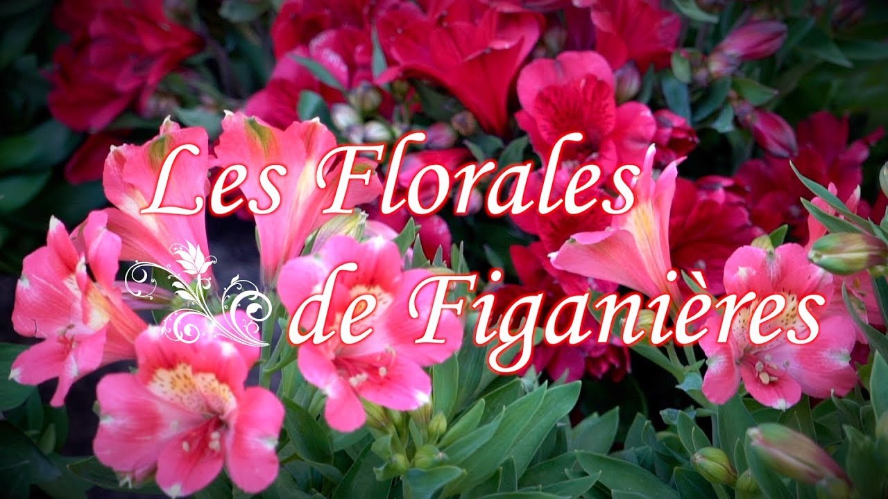 Les Florales de Figani&egrave;res
