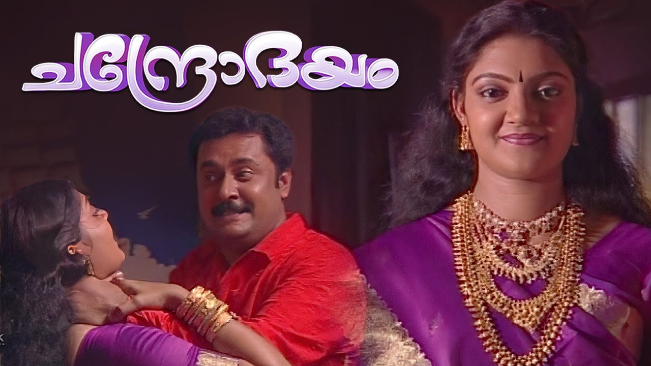 ഇയാളെ ഒരിക്കലും വിശ്വസിക്കാൻ പാടില്ലായിരുന്നു | Chandrodayam Episode 266 | Malayalam Serial