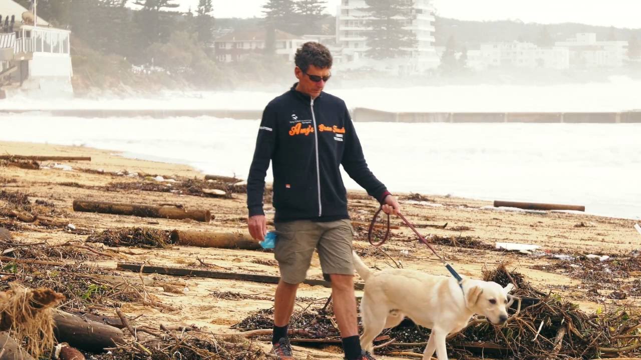 Best Collaroy beach storm damage Video of aftermath of Sydney storms