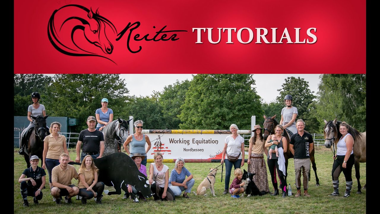 Working Equitation Trail Kurs mit Mitja Hinzpeter   // Reitertutorials