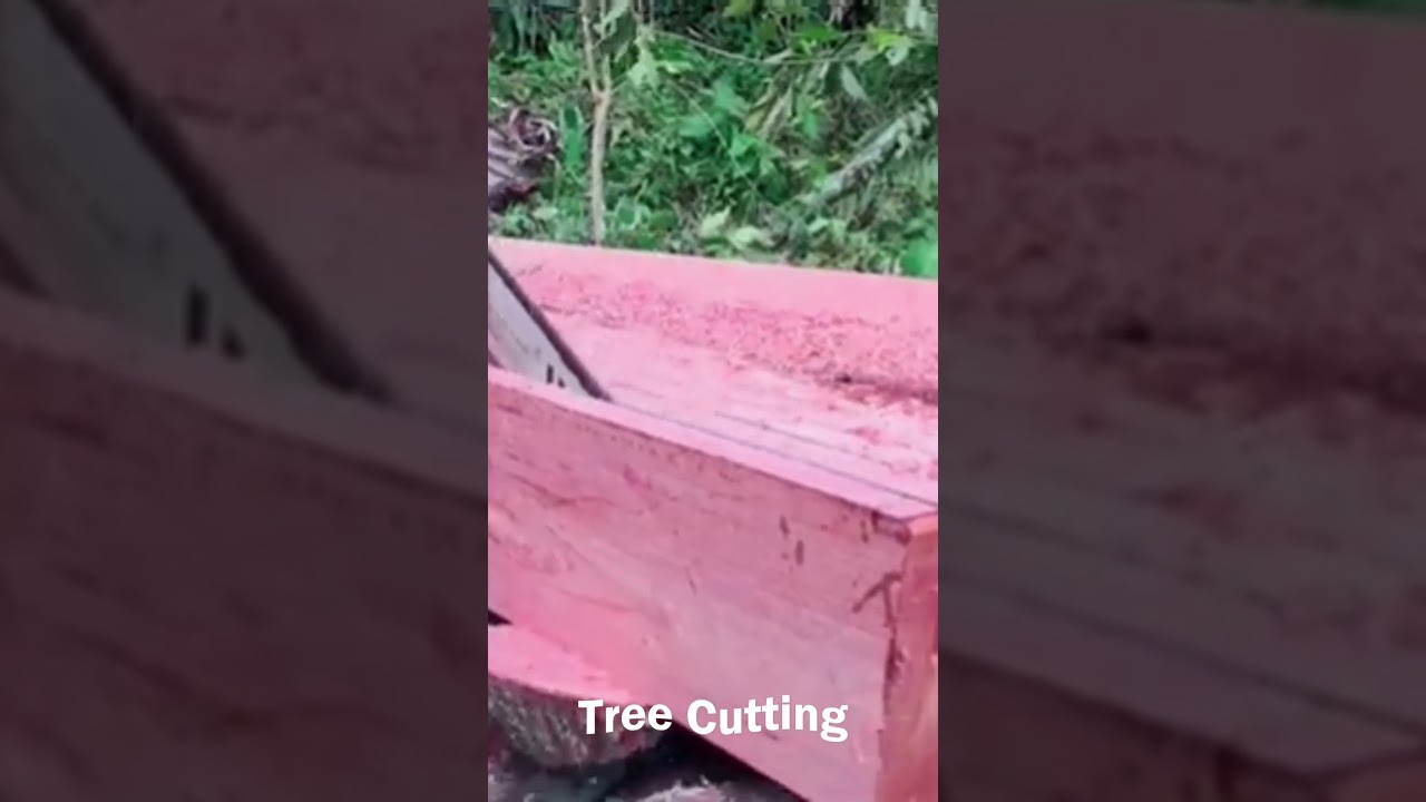 Process Making 2X20 CM Wooden Board with Assembled Chainsaw 28