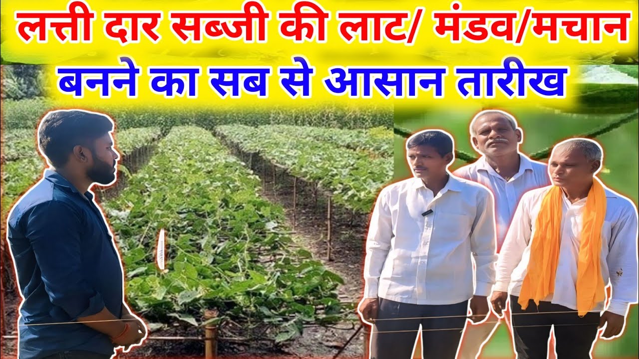 परवल का टाल/मंडव/मचान कैसे बनाएं🤔परवल का पौधा/लताएं कैसे लगाएं🌱जानें टाल/मंडव और पौधा/लत कैसे लगाएं🌿