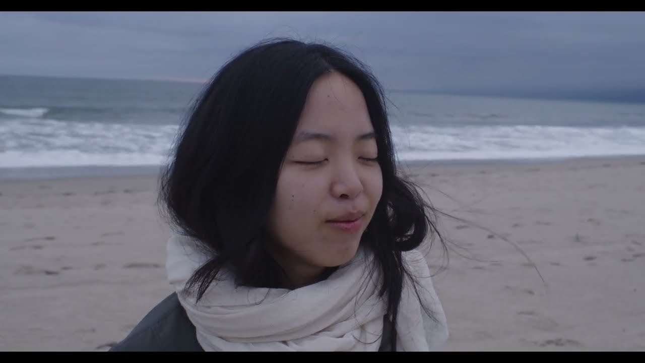 50 days of meditation--my journey thus far