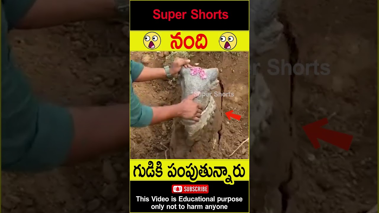 1000 years old nandhi statue spotted #telugufacts #god #shorts #stories #youtubeshorts #supershorts
