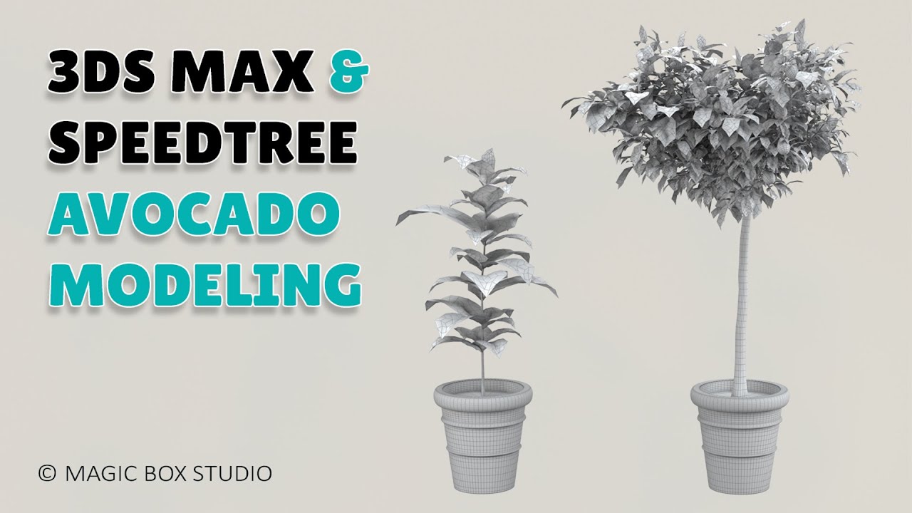 3DS MAX&SPEEDTREE avocado modeling ǀ Part I