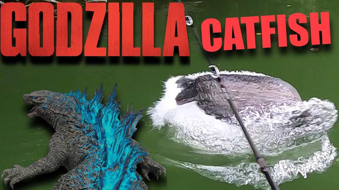 GODZILLA CATFISH DESTROYS MY FISHING 🐲