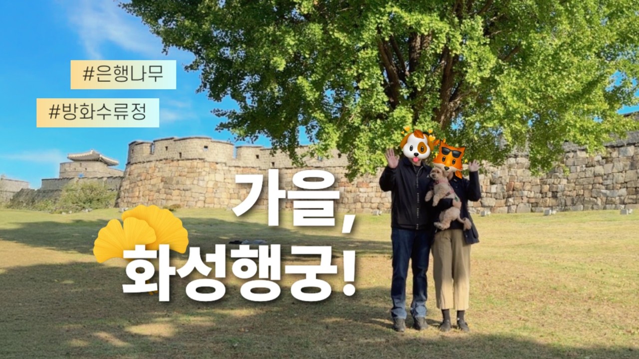 JENNY VLOG✨ 가을엔 역시 화성행궁 은행나무! (행궁동 가을 데이트코스, 다이어트 실패)