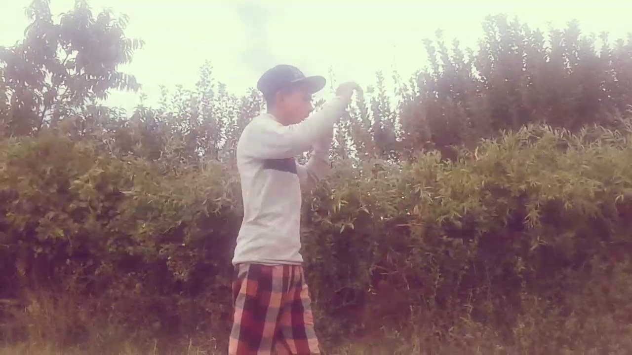 7  oys talent