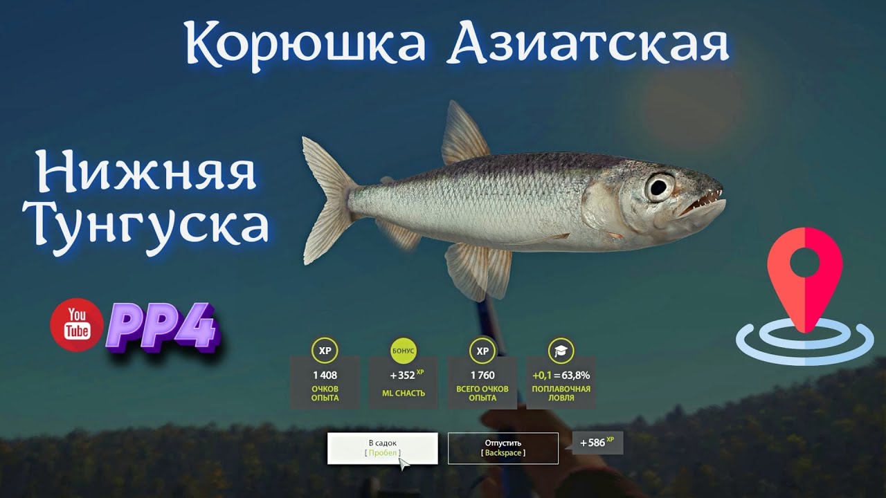 Нижняя Тунгуска • Корюшка Азиатская •  РР4 • Болонка • Русская рыбалка 4 • 01.03.2024