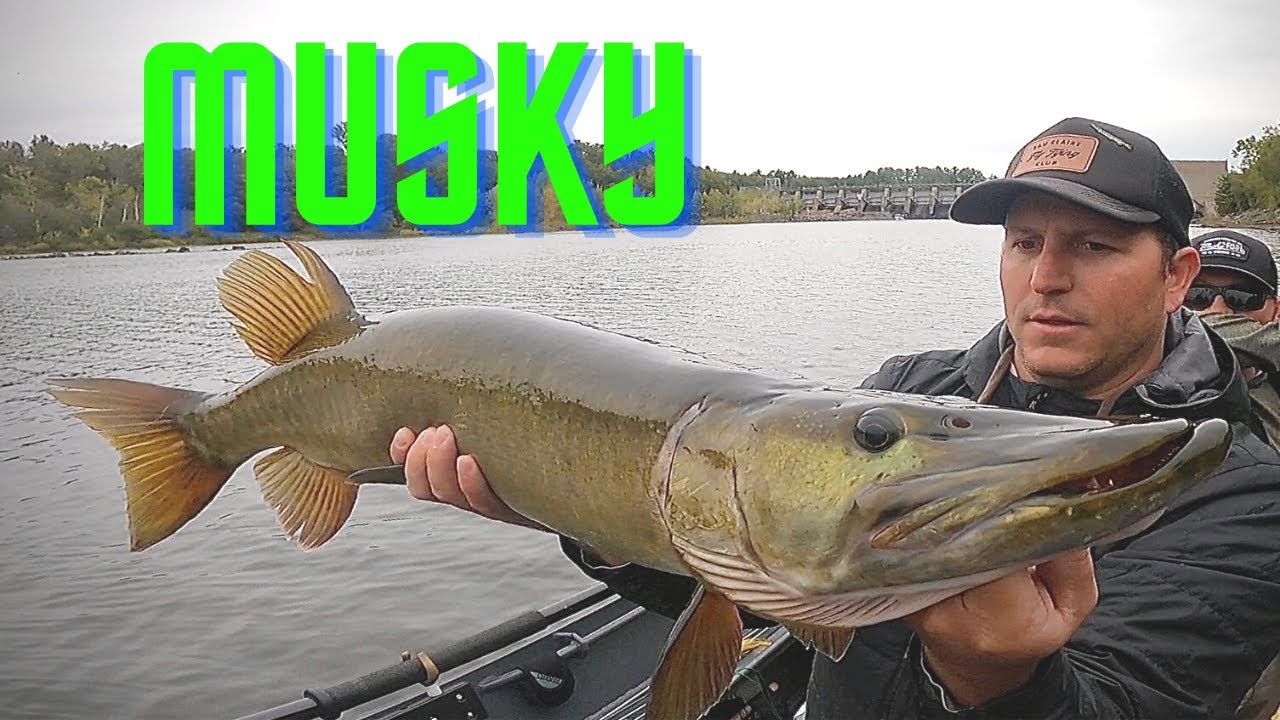 MUSKY SCRAMBLE
