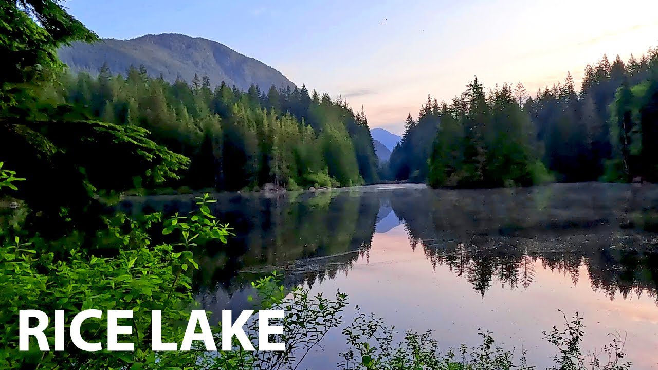Rice Lake North Vancouver, BC Canada 4K Virtual Walk