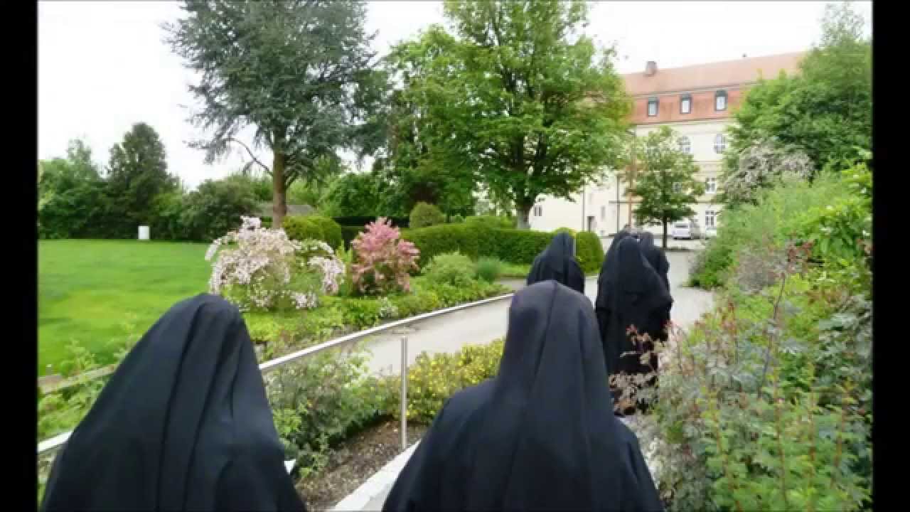 Ausblicke Einblicke Kellenried