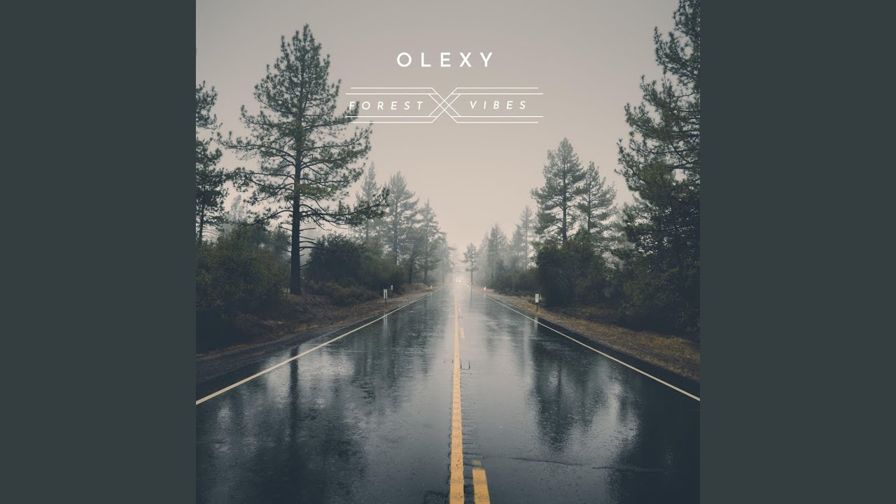 Road in the Forest