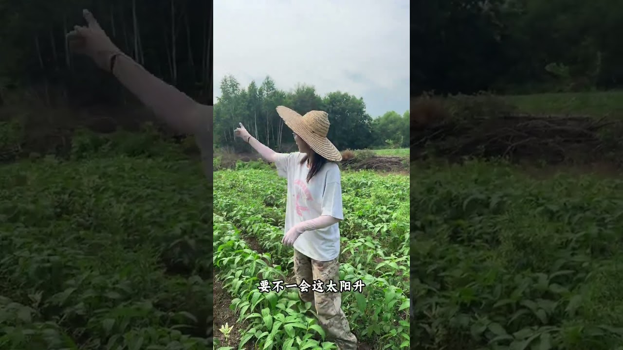 在三十五六度的夏天干完活回来来一碗冰凉酸爽的冰碗大冷面#创作者中心 #三农 #我的乡村生活 #冰碗冷面 #百亿流量扶持
