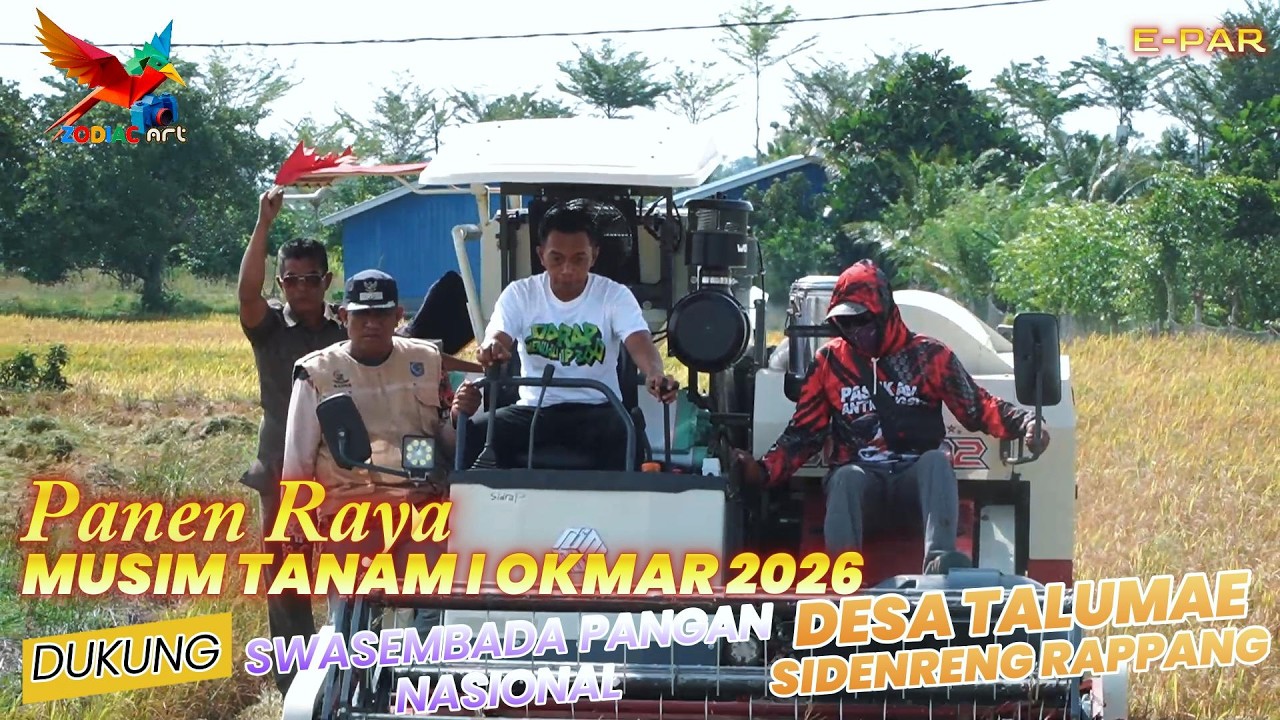 Bupati Sidrap Panen Raya MT 1 Okmar 2026 di Desa Talumae Kec. Watang Sidenreng Kab. Sidrap