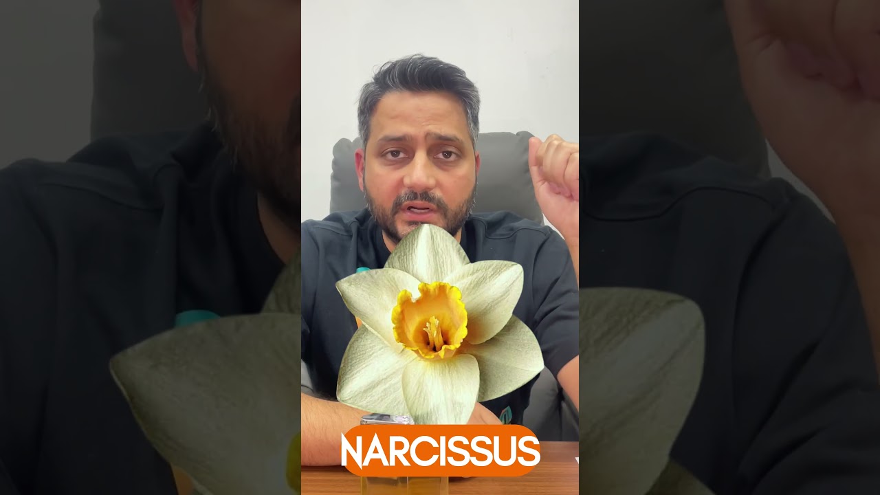 MERI GUARANTEE NAHI HAI!HERMES H24 REVIEW 