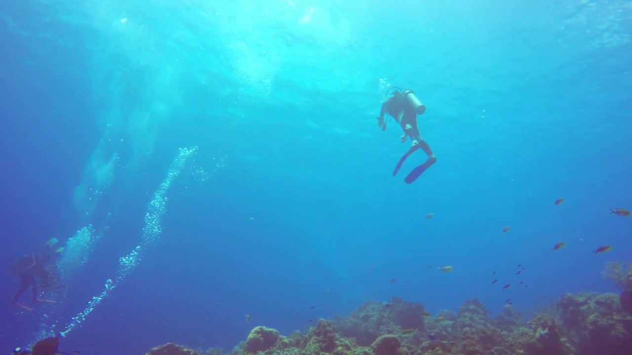 Cozumel amazing scuba diving underwater adventure in Mexico buceo Mexico part 6