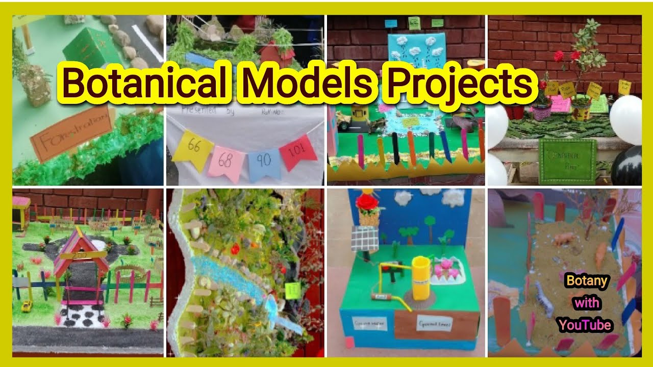 Botanical Project Exhibition in GCWUS | Crafts | Crafting | recycling | Models | Science Projects |