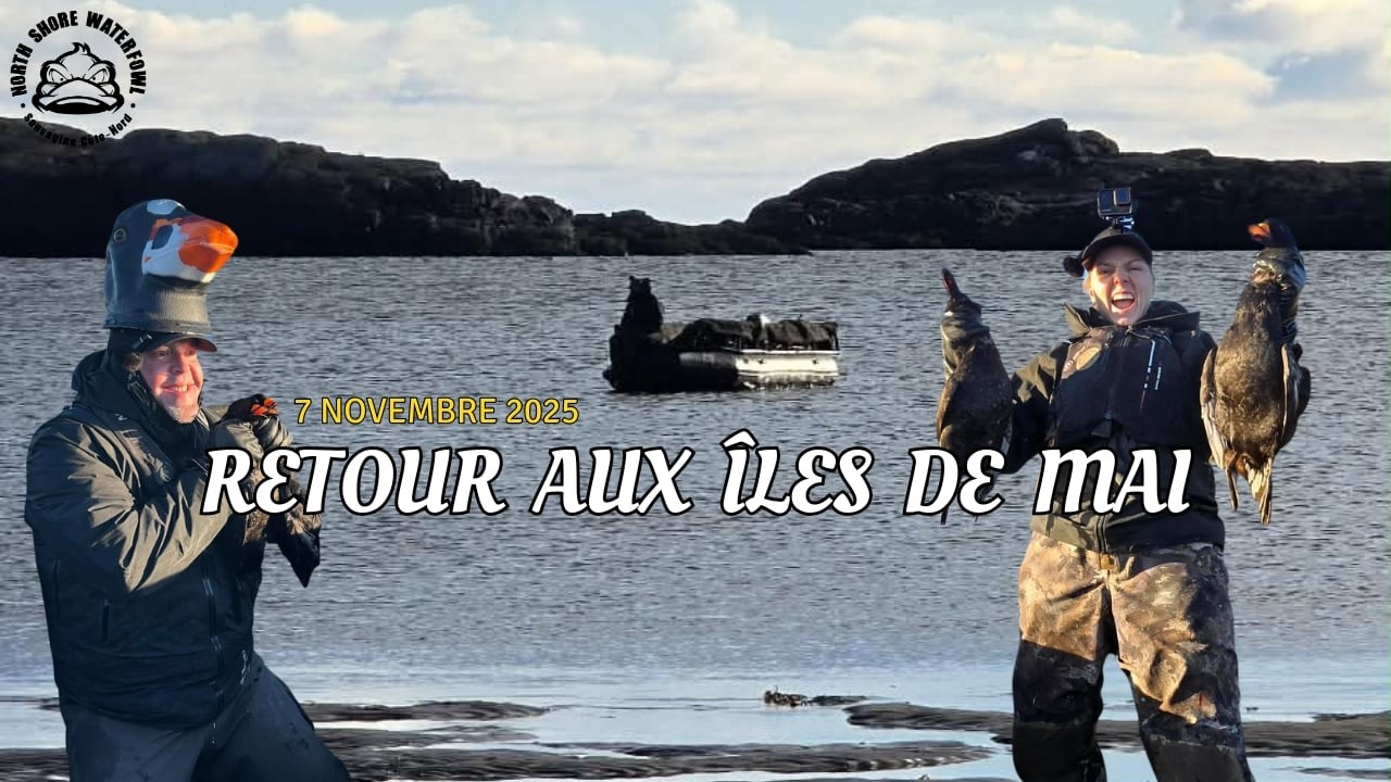 Retour aux Îles de Mai