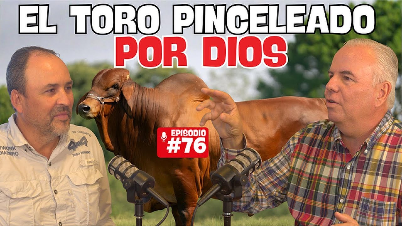 RANCHO EL DORADO: PINTA TU HATO DE ROJO CON GENÉTICA DE CAMPEONES