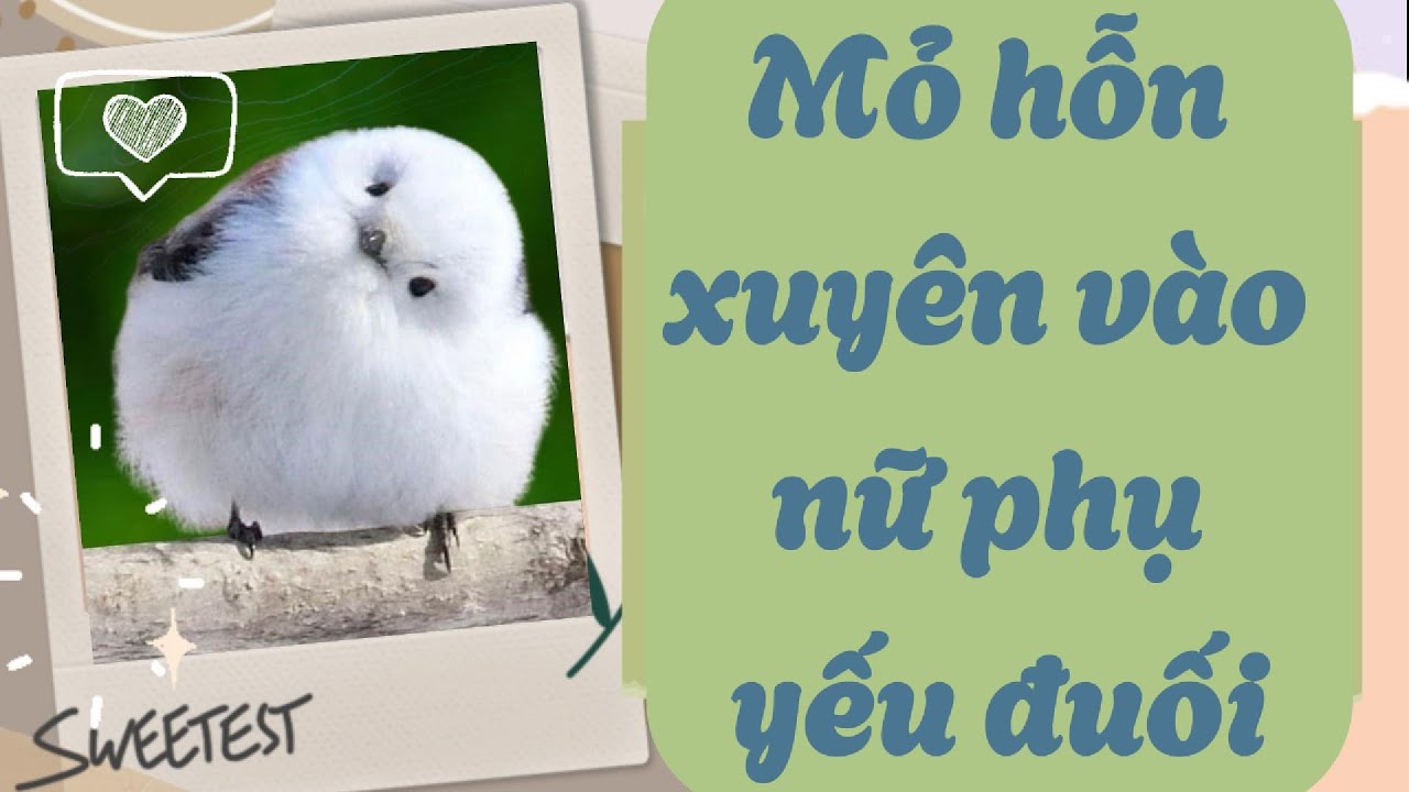 [ FULL ] | Mỏ hỗn xuyên vào nữ phụ yếu đuối | Đại Kha Audio