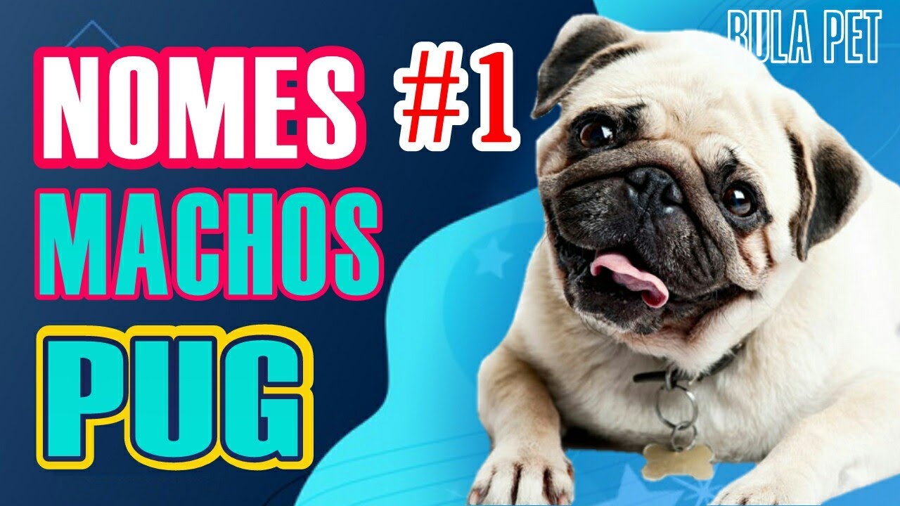 NOMES PARA PUG MACHO #1