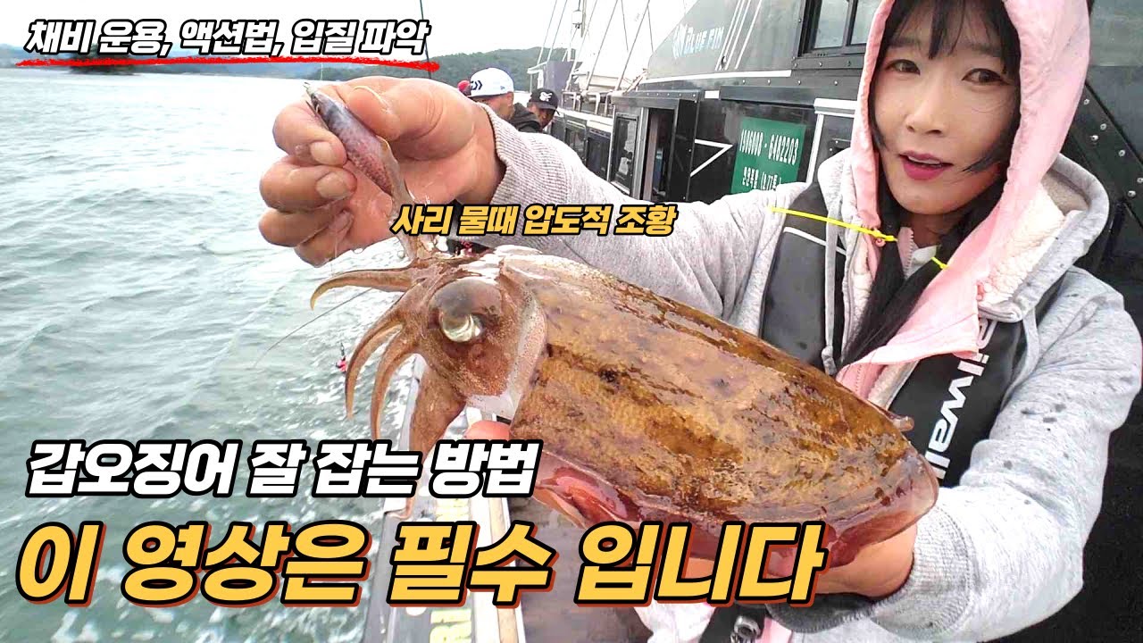 갑오징어 마릿수가 늘지 않는!!! 당신이!!! 꼭!! 봐야 할 영상!! 이 안에 다있다~