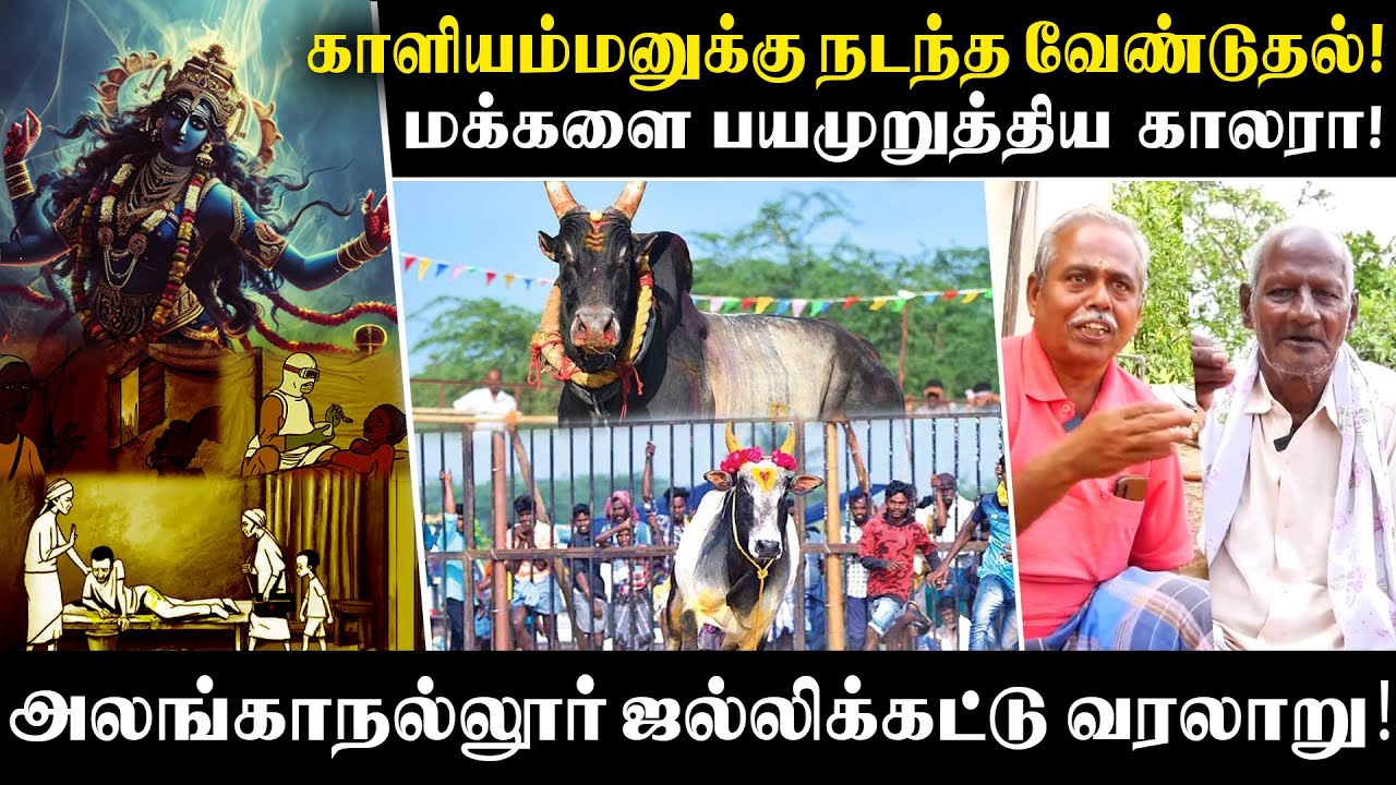 நாயுடு கொண்டு வந்த அலங்காநல்லூர் ஜல்லிக்கட்டு - Alanganallur Jallikattu Untold History