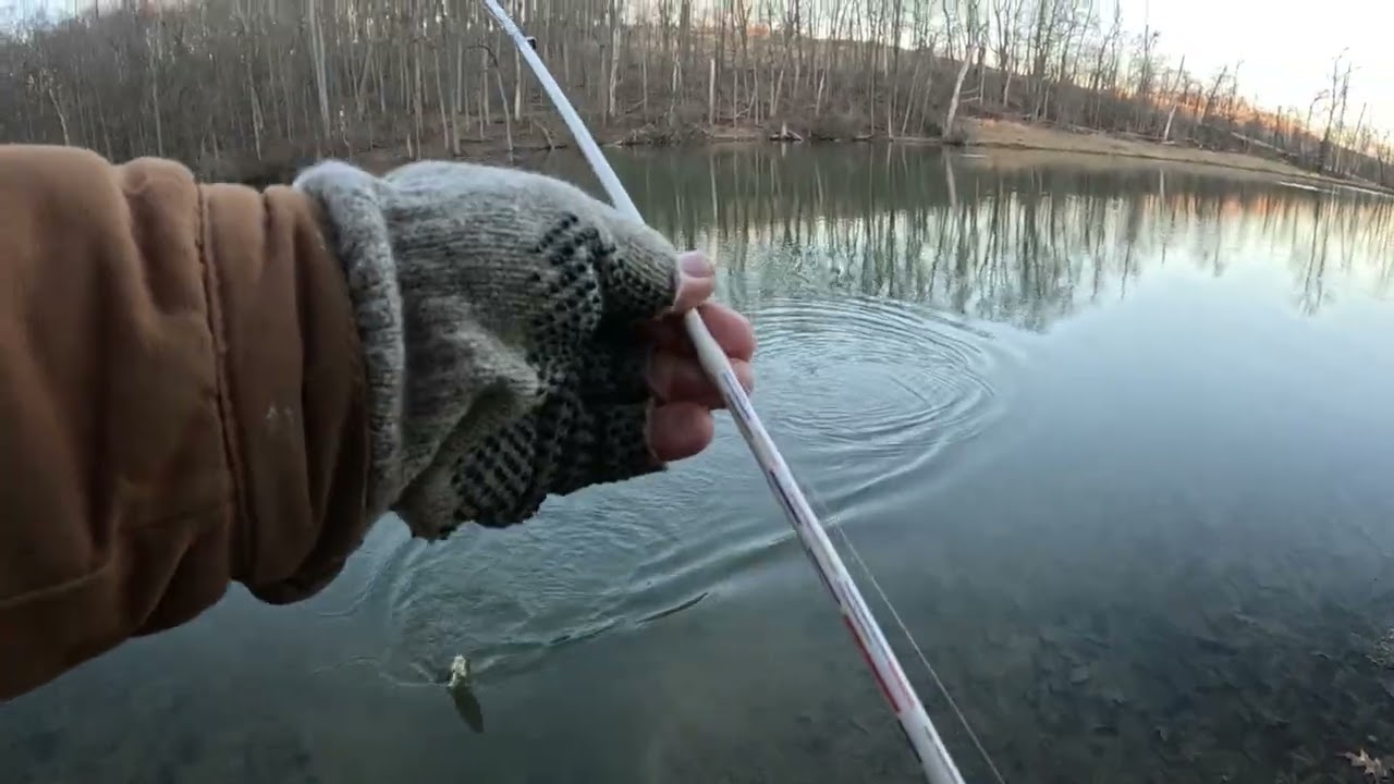 A New Season Begins