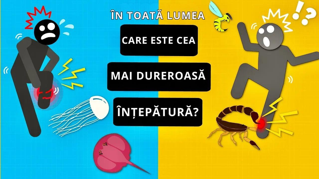 Care este cea mai dureroasă înțepătură pe care o poți suporta? Mit spulberat