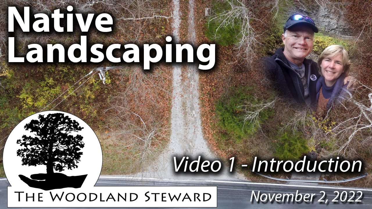 Native Landscaping – Video 1 in a Series: Introduction to Project