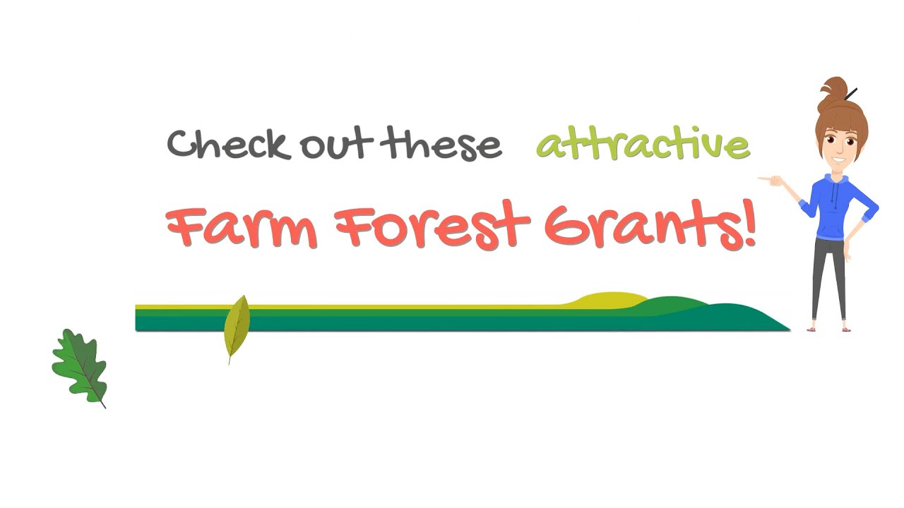 Check out these attractive Farm Forest Grants!
